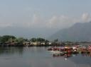 IMG_0113-550