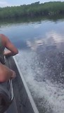 Airboat tour vanaf Everglades City 15 juli 2018