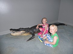 Visitor center state park