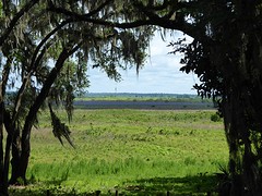 Paynes Prairie Preserve state park