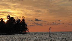 P1020264