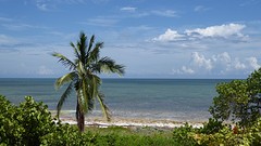 P1020319