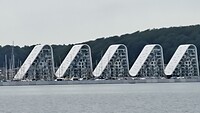 1000050137