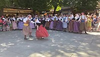 IMG_7275