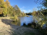 IMG_7622