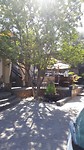 Olivegrove guesthouse, Windhoek.