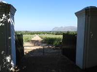 Wijnestate Groot Constantia in Constantia.