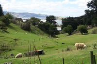Bij Larnach Castle