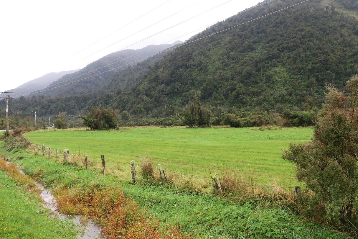 tussen Fox Glacier en Franz Joseph Glacier