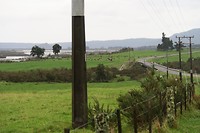 Whataroa