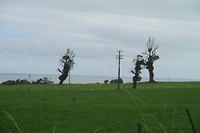 Landschap onderweg