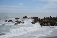 Sealpoint