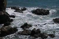 Sealpoint