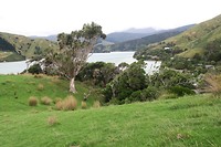 Cable Bay