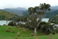 Cable Bay