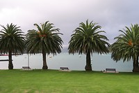 Picton de baai