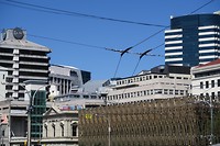 Wellington