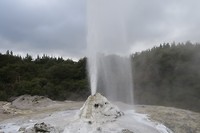 Lady Knox Wai-O-Tapu