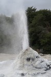 Lady Knox Wai-O-Tapu