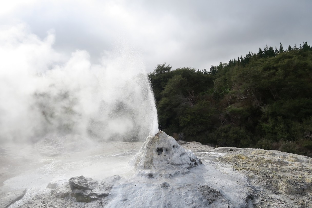 Lady Knox Wai-O-Tapu