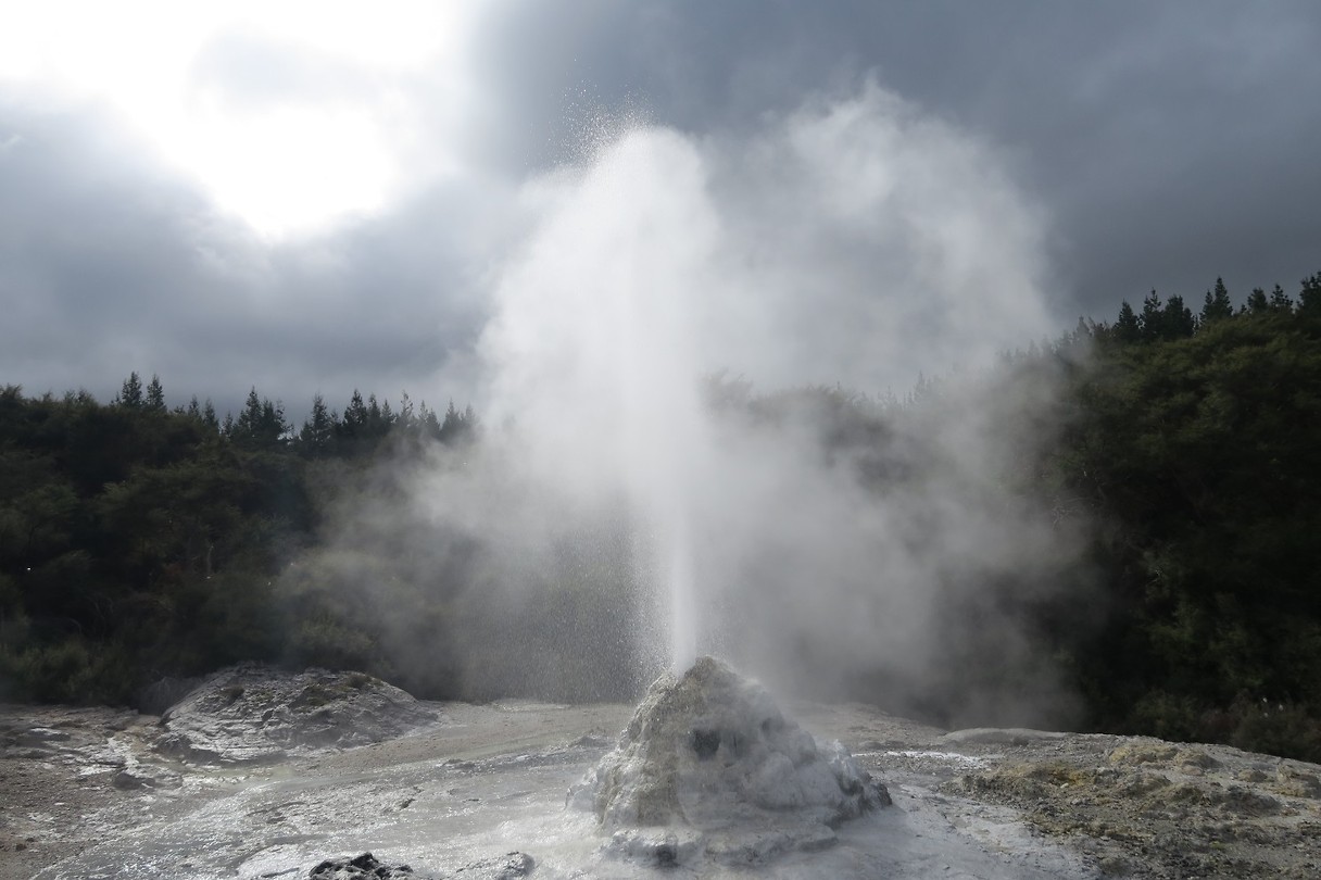 Lady Knox Wai-O-Tapu