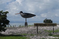 Vogelreservaat voor Orere Point