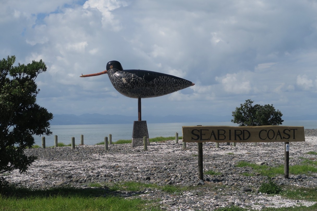 Vogelreservaat voor Orere Point