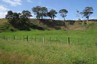 Orere Point landschap