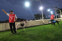 Greyhound renbaan in Grafton, tegelijk onze camping