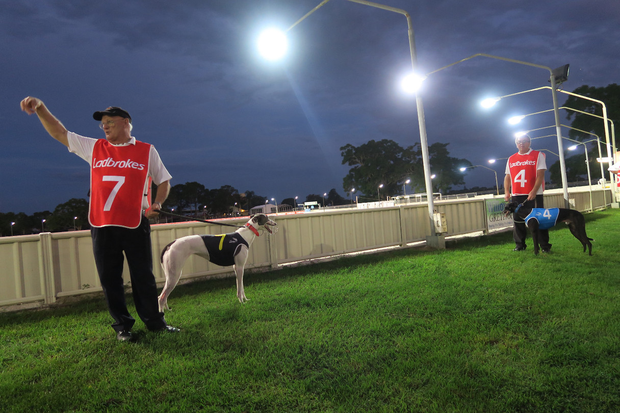 Greyhound renbaan in Grafton, tegelijk onze camping