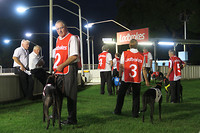 Greyhound renbaan in Grafton, tegelijk onze camping