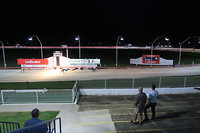 Greyhound renbaan in Grafton, tegelijk onze camping