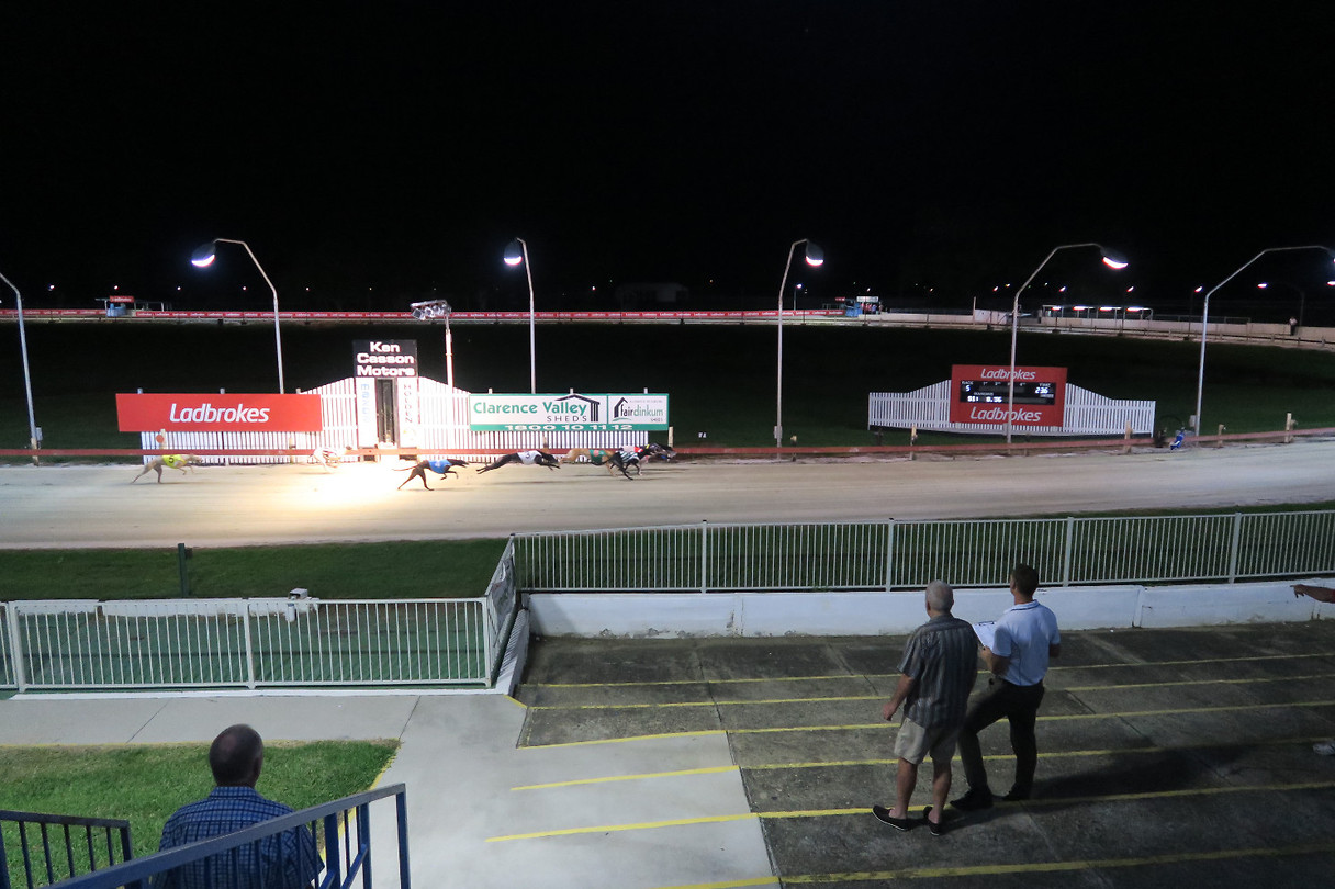 Greyhound renbaan in Grafton, tegelijk onze camping
