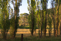 onderweg