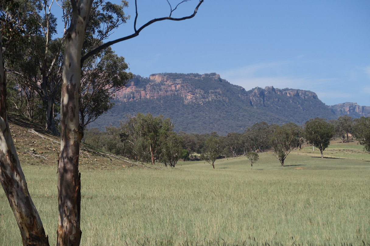 Blue Mountains