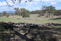 omgeving Blue Mountains