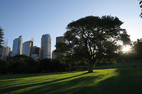 skyline vanuit de Royal Botanical Gardens Sydney