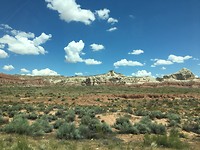 IMG_3368