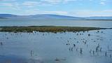 Lago Argentino