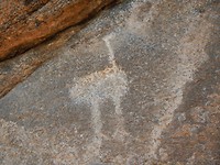 DSCN0492