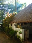 DSCN0251.JPG