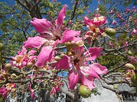 DSCN0459.JPG