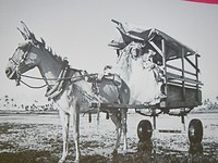 Aldeia Hippie, de pioniers uit de jaren '60.