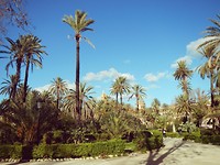 Villa Bonnano
