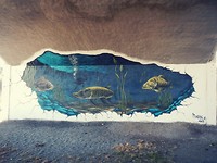 Street art nabij de Drau rivier.
