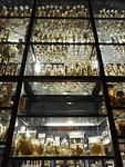 Museum fur naturkunde
