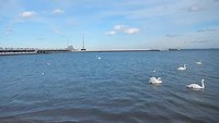 Sopot