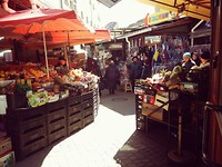 Lviv markt