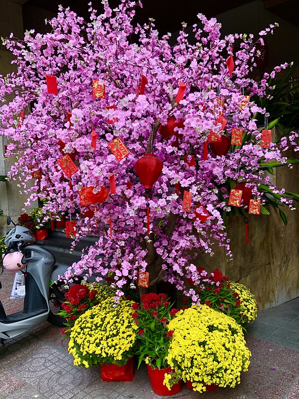 Tet boom