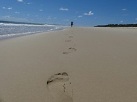Kris inskip point strand
